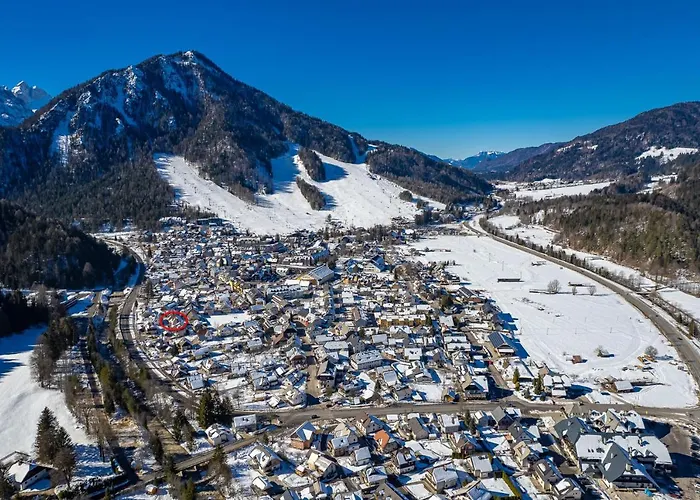 Apartment Alpski Skrat,